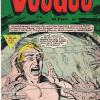 Voodoo #5